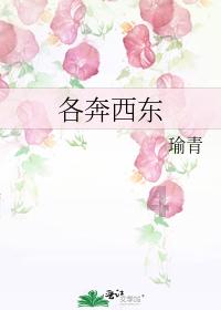 失落之城解密