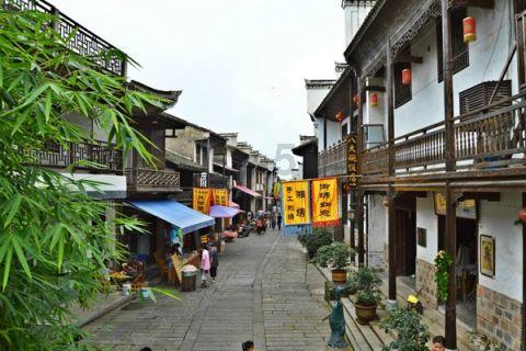 爱吃叶子的毛毛虫